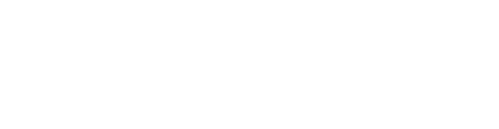 experience-text
